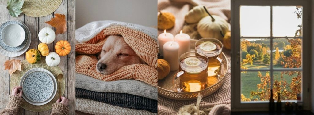 秋のインテリアコーディネート